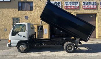 Isuzu Dump Truck, Junk, landscape, Cleanouts full
